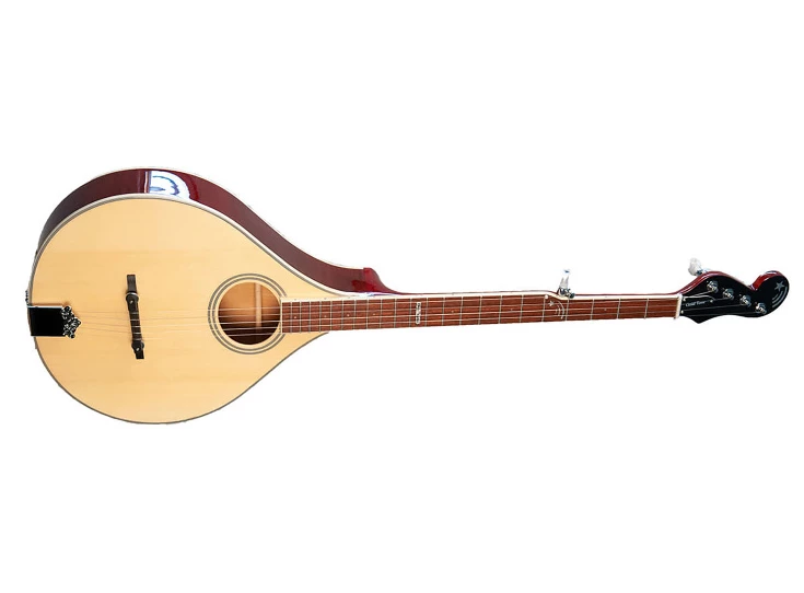 GOLD TONE BANJOLA+ Elektro-Akoestische Banjola