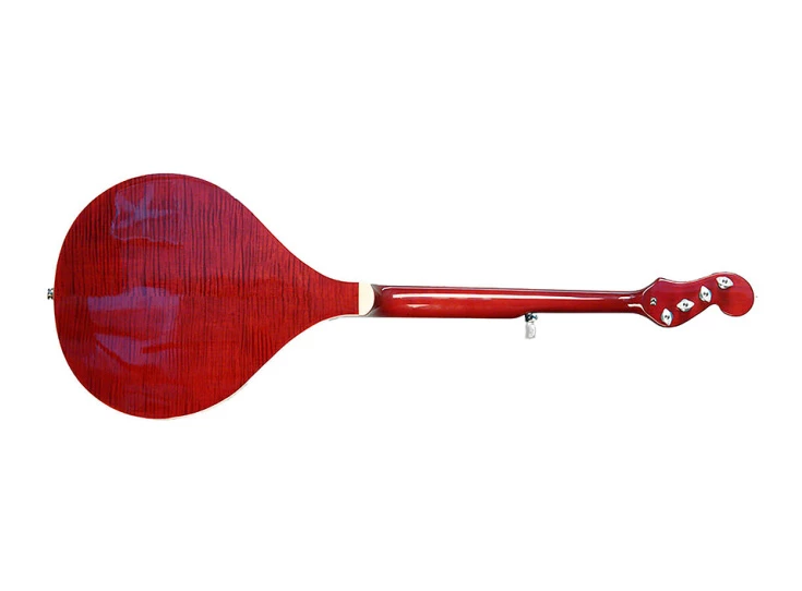 GOLD TONE BANJOLA+ Elektro-Akoestische Banjola