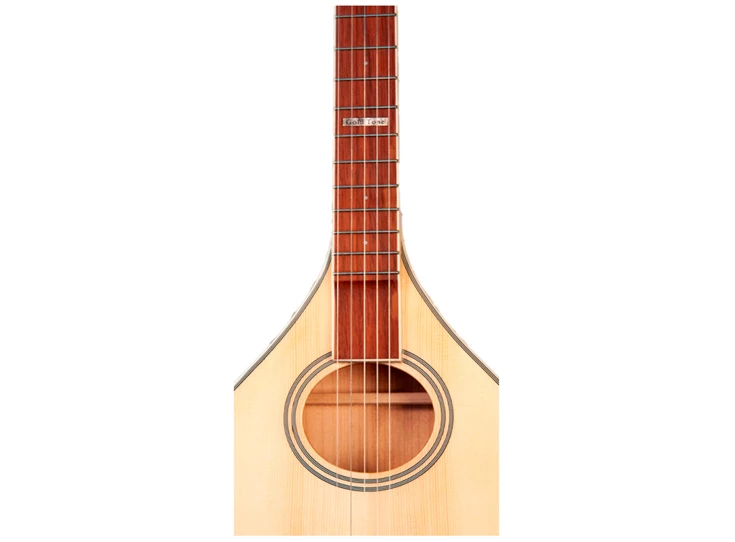 GOLD TONE BANJOLA+ Elektro-Akoestische Banjola