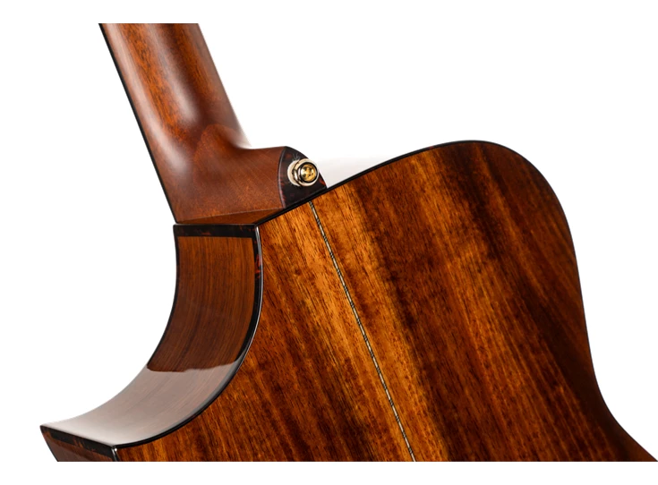 CORT Luxe Nylon II – Frank Gambale Signature Bown Black Burst