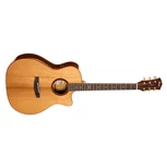 CORT Gold-A10 Cocobolo