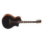 CORT Modern Black Trans Black Gloss