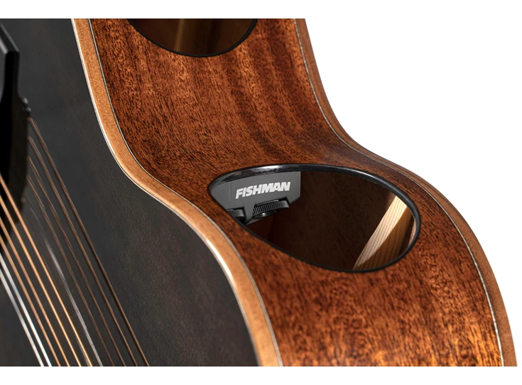 CORT Modern Black Trans Black Gloss