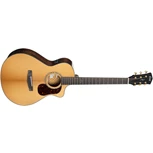 CORT GOLD MC6 Natural