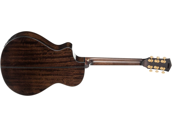 CORT GOLD MC6 Natural