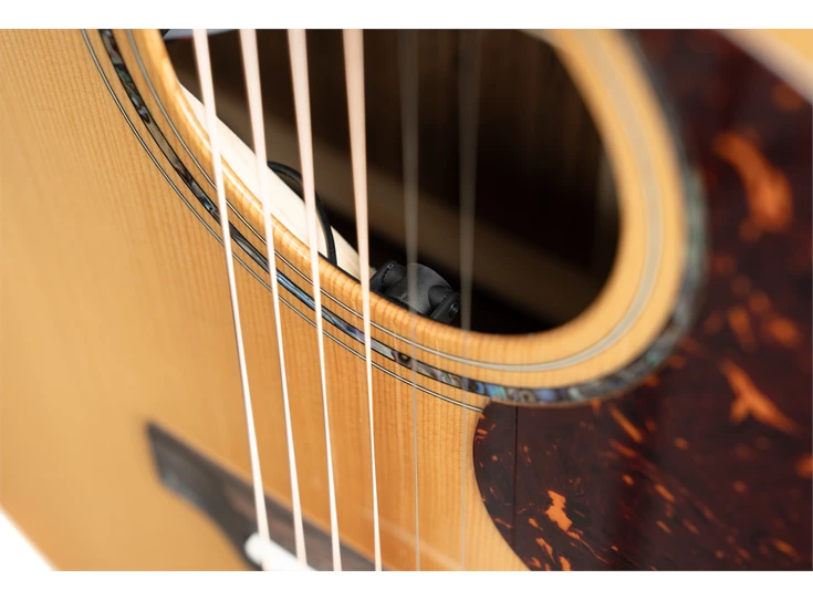 CORT GOLD MC6 Natural