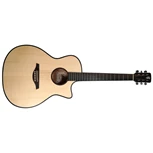 YOU'S GUITARS V100