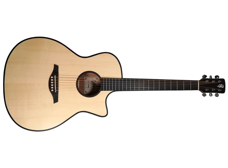 YOU'S GUITARS V100