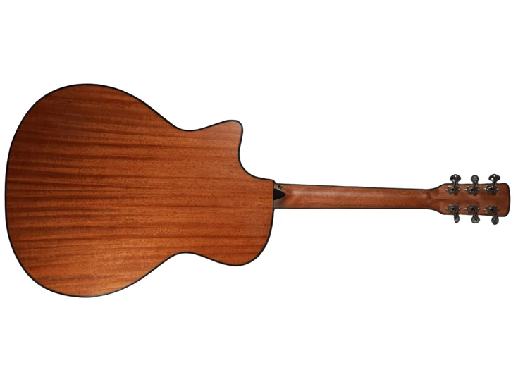 YOU'S GUITARS V100