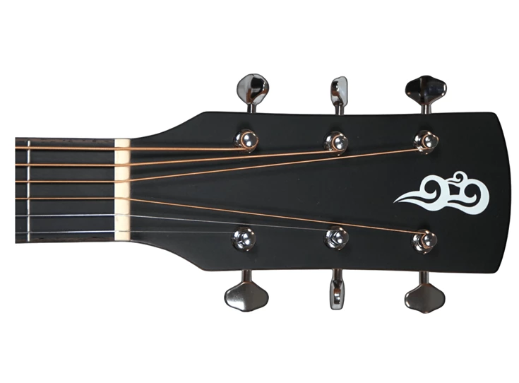 YOU'S GUITARS V100