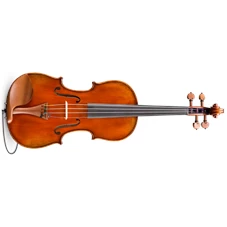 EASTMAN STRINGS VL405+ 4/4
