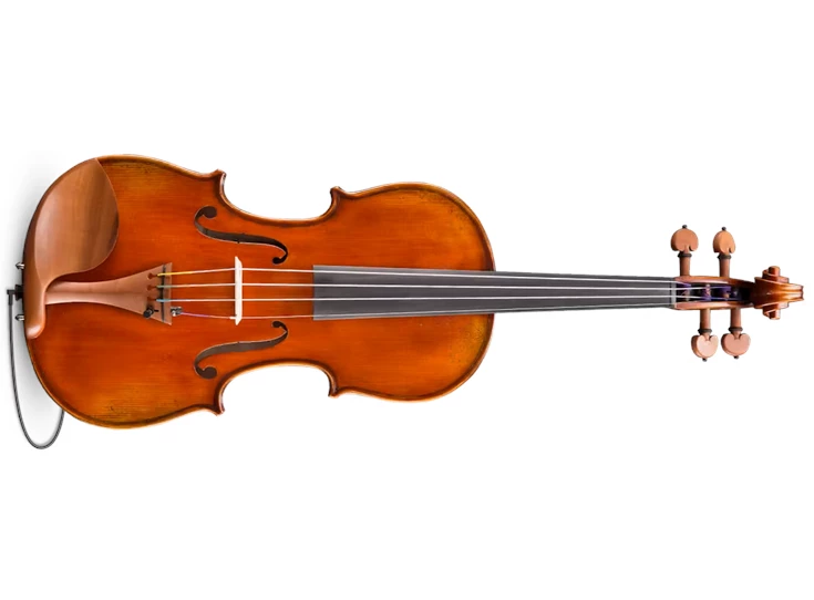 EASTMAN STRINGS VL405+ 4/4