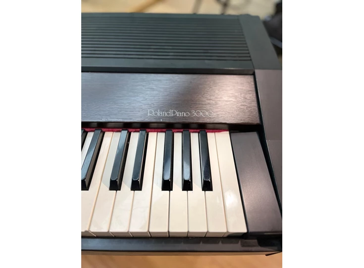 ROLAND HP-3000S