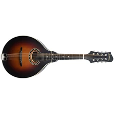 Eastman MD304E.jpg