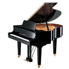 YAMAHA GH-1B.jpg