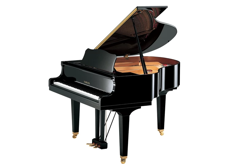 YAMAHA GH-1B.jpg