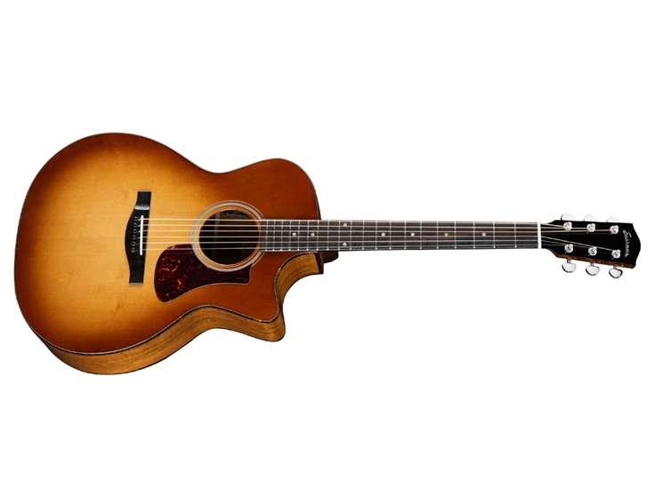 Eastman-AC222CE-DLX-GB-01.jpg